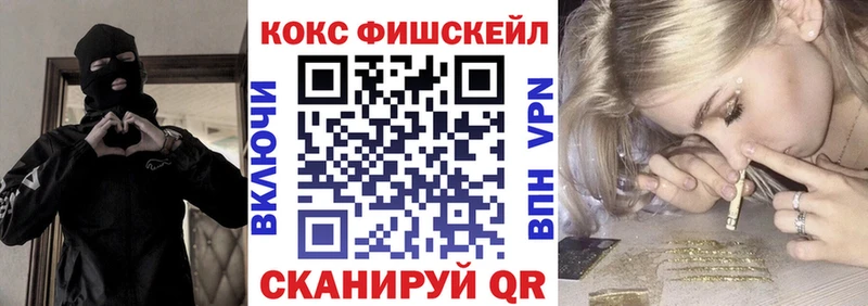 Кокаин Fish Scale  Купить закладки  Норильск 
