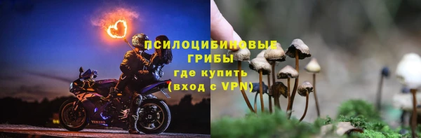 скорость mdpv Кинешма