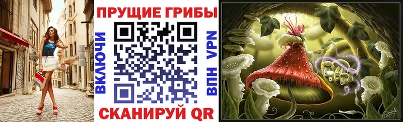 Псилоцибиновые грибы ЛСД  Купить где  Норильск 